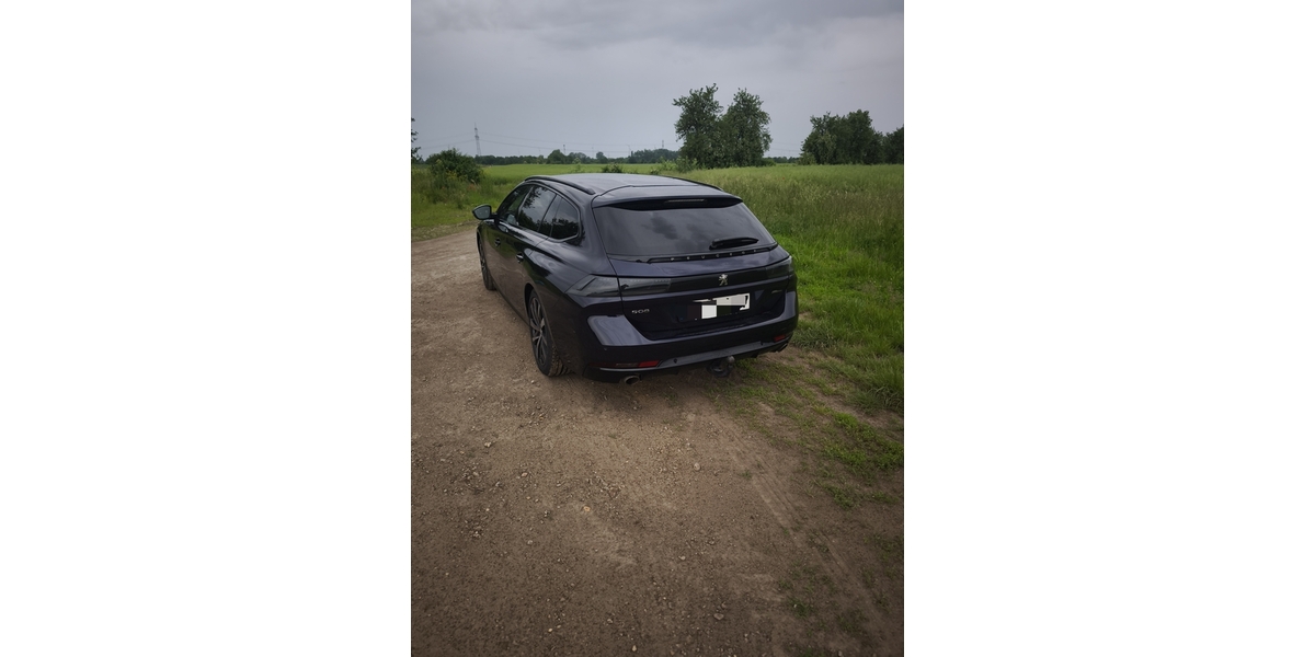 Peugeot 508 169.000 km 17.500 &euro; Biere 39221