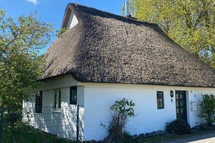 Charmante Reetkate in Nordseenähe - in fast Alleinlage! - Haus Nordermeldorf | Angebot:26770173