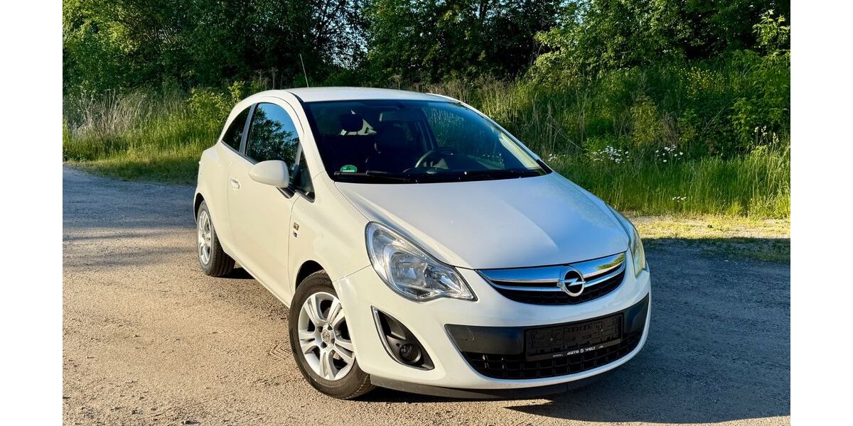 Opel Corsa 176.457 km 5.000 &euro; Muldestausee 06774
