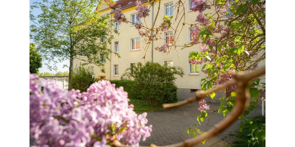 Erdgeschoßwohnung Halle (Saale) Büschdorf - 2 Zimmer, 50 m&sup2;, 360&euro; | Angebot:25571103