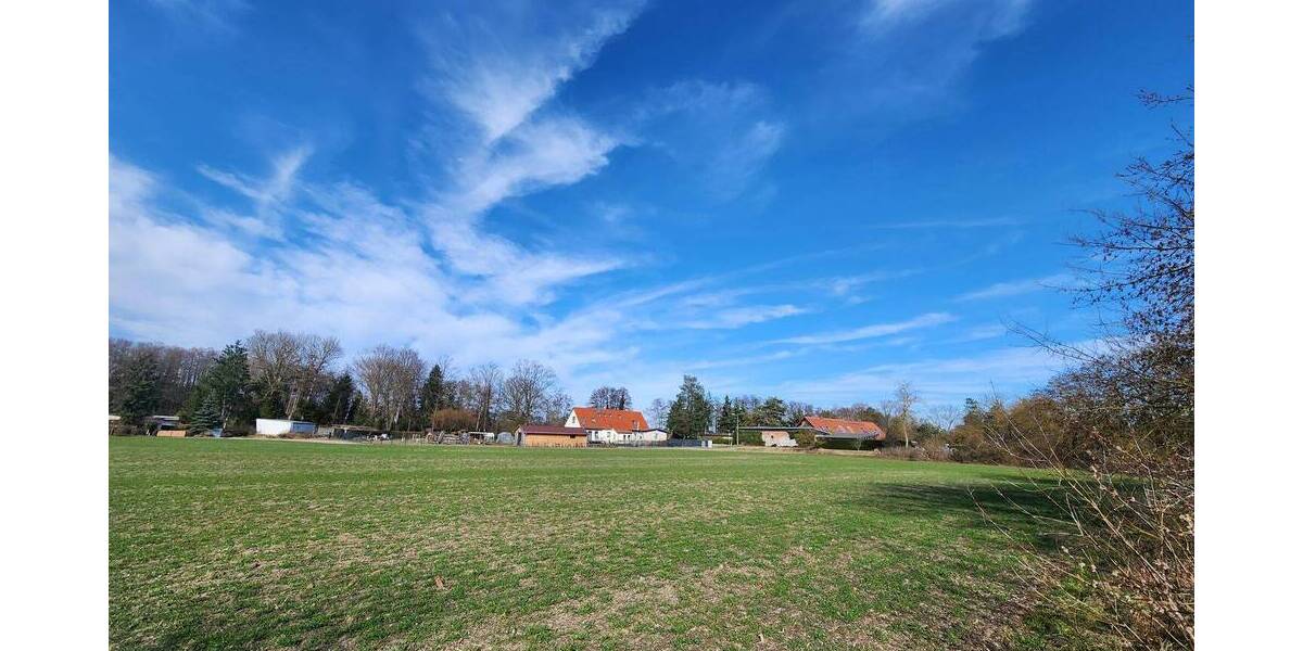Grundstück Kloster Lehnin Netzen - 40.000&euro; | Angebot:25983404