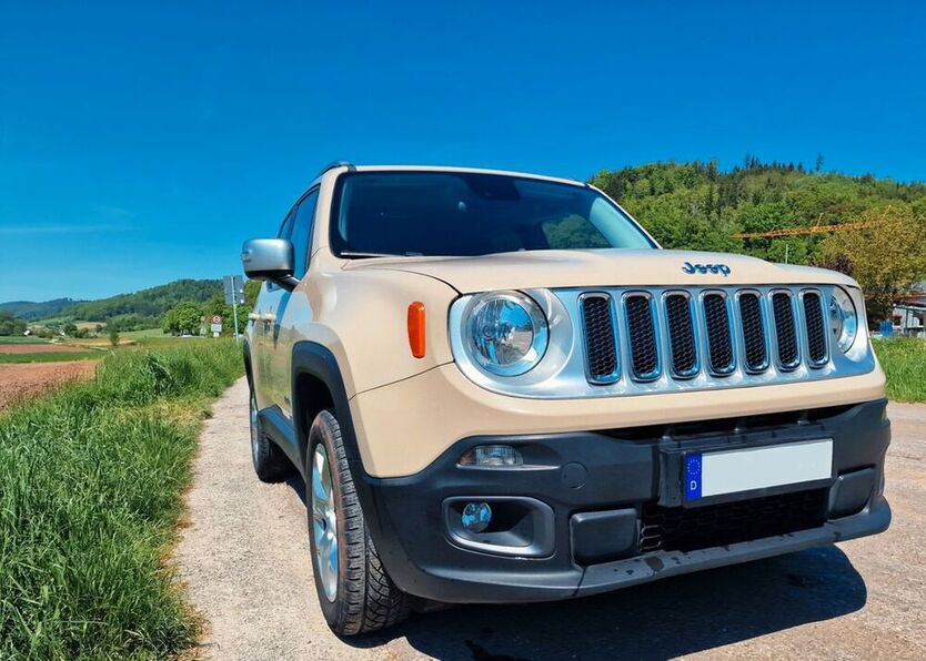 Renegade
