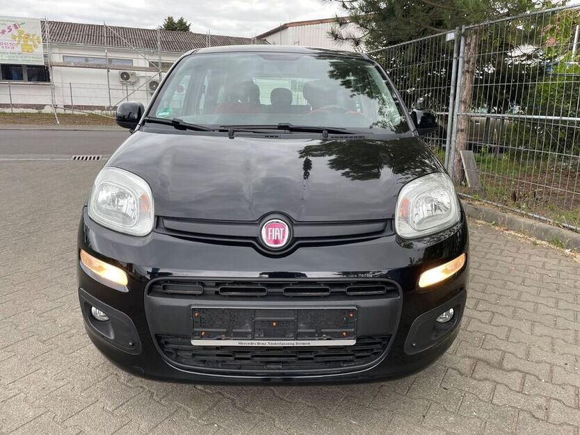 Panda