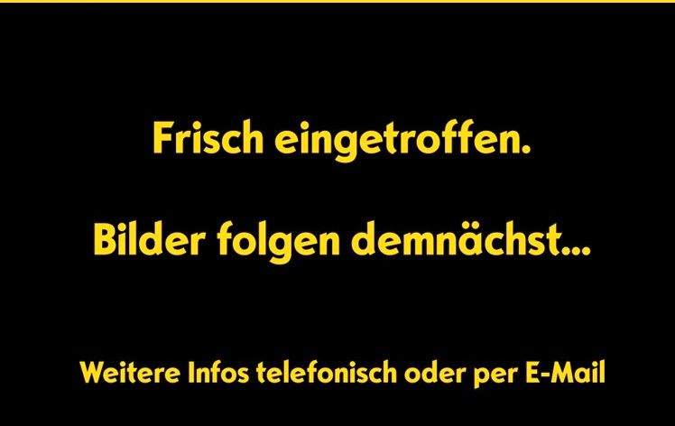 Opel Astra 36.500 km 21.980 &euro; Riedlingen 88499