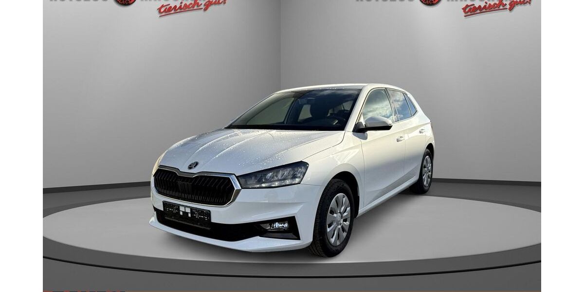 Skoda Fabia 9.100 km 18.990 € Wilhelmsdorf 88271