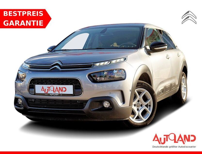 C4 Cactus