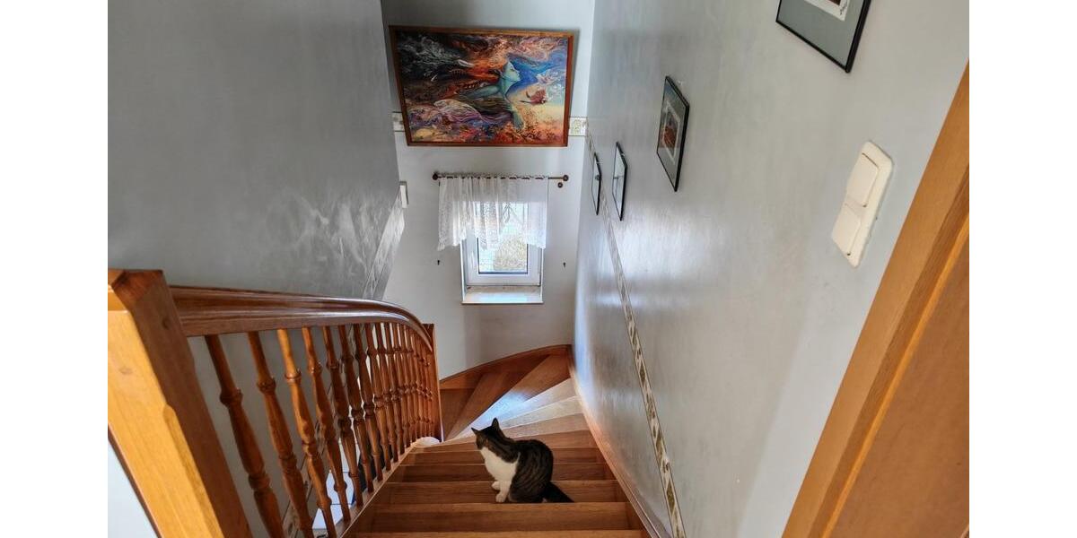 Einfamilienhaus Südheide - 5 Zimmer, 164 m&sup2;, 349.000&euro; | Angebot:25543132