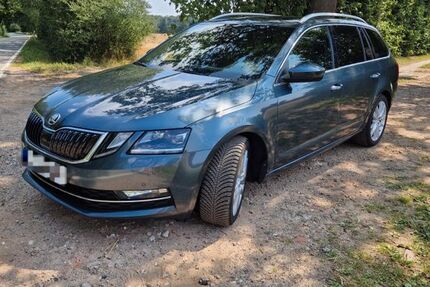 Skoda Octavia 132.000 km 15.600 &euro; Steinburg 22964