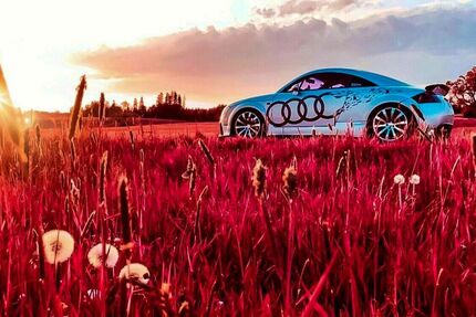 Audi TT 203.000 km 5.000 &euro; Rosenheim 83026