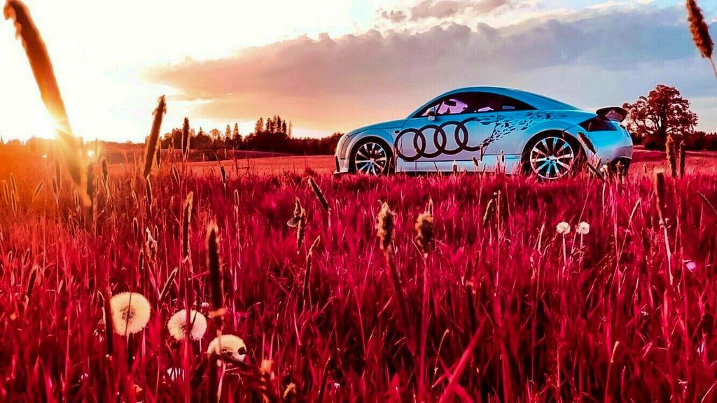 Audi TT 203.000 km 5.000 &euro; Rosenheim 83026