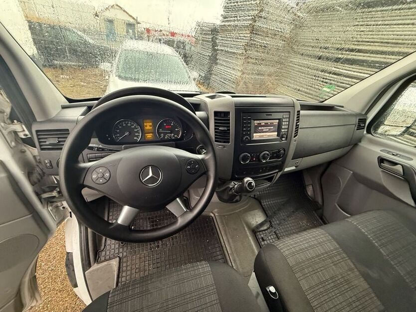 Sprinter