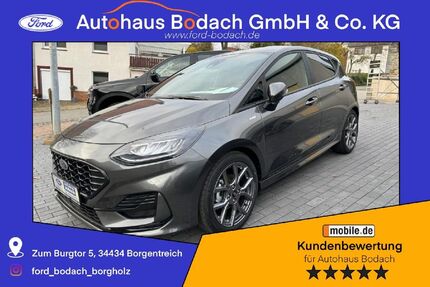 Ford Fiesta 17.950 km 19.290 &euro; Borgentreich-Borgholz 34434