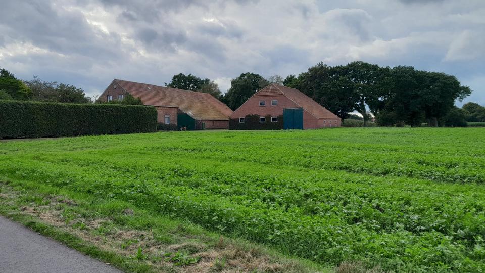 Bauernhaus, Landhaus Esens - 7 Zimmer, 170 m&sup2;, 289.000&euro; | Angebot:22755746