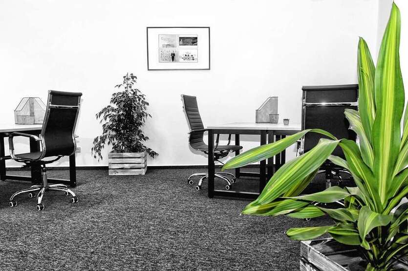 Büro in Bad Kreuznach 398 € 14 m²