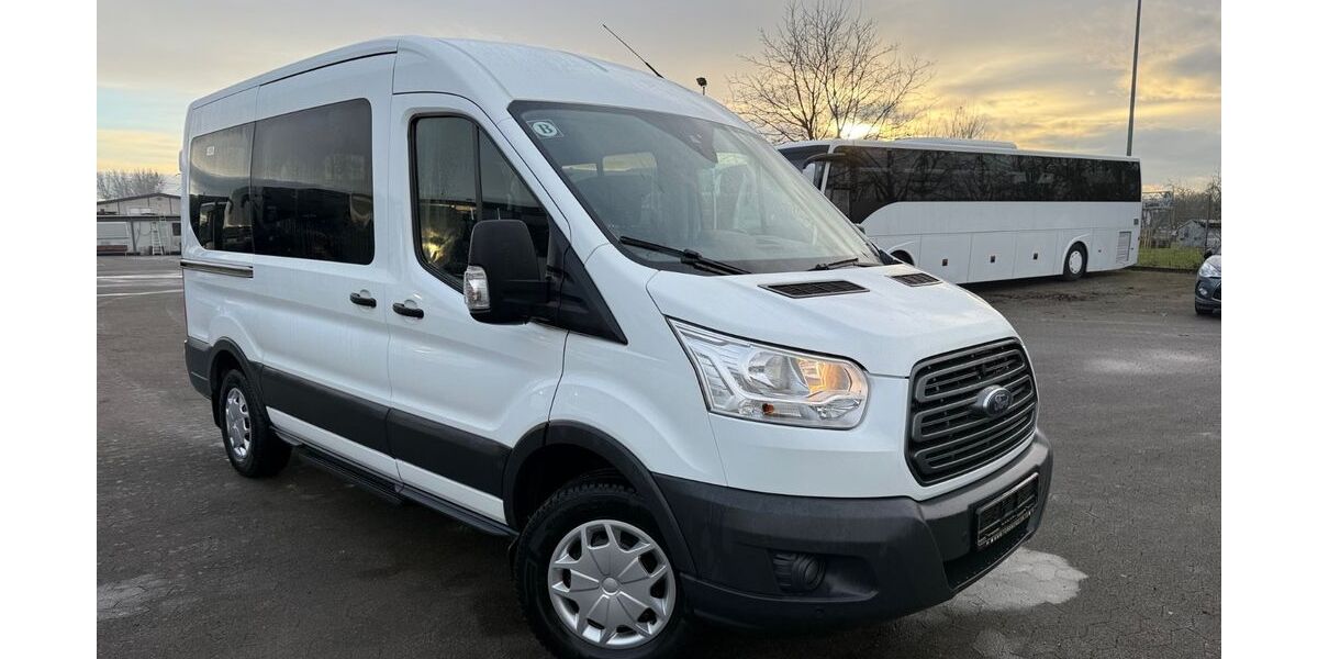 Ford Transit 236.334 km 14.875 &euro; Appenweier 77767