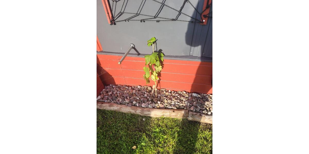 Einfamilienhaus Sellin - 1 Zimmer, 35 m&sup2;, 29.900&euro; | Angebot:24362363