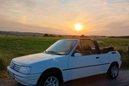 Peugeot 205 183.652 km 2.600 &euro; Dernbach 56307
