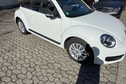 VW Beetle