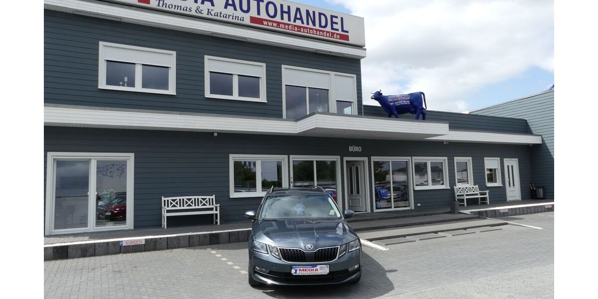 Skoda Octavia 123.000 km 15.800 &euro; Magdeburg 39108