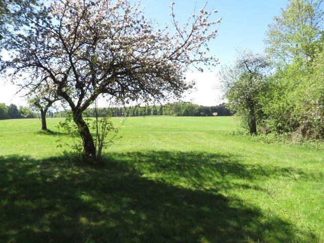 Bauernhaus, Landhaus Rott am Inn - 5 Zimmer, 170 m&sup2;, 1.300.000&euro; | Angebot:26407406