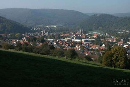 Grundstück Amorbach - 235.000&euro; | Angebot:25259178