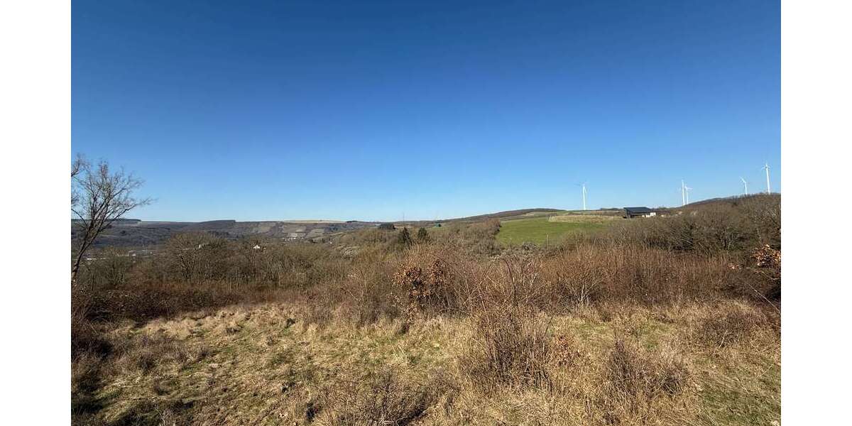 Grundstück Meisenheim - 800.000&euro; | Angebot:23310521