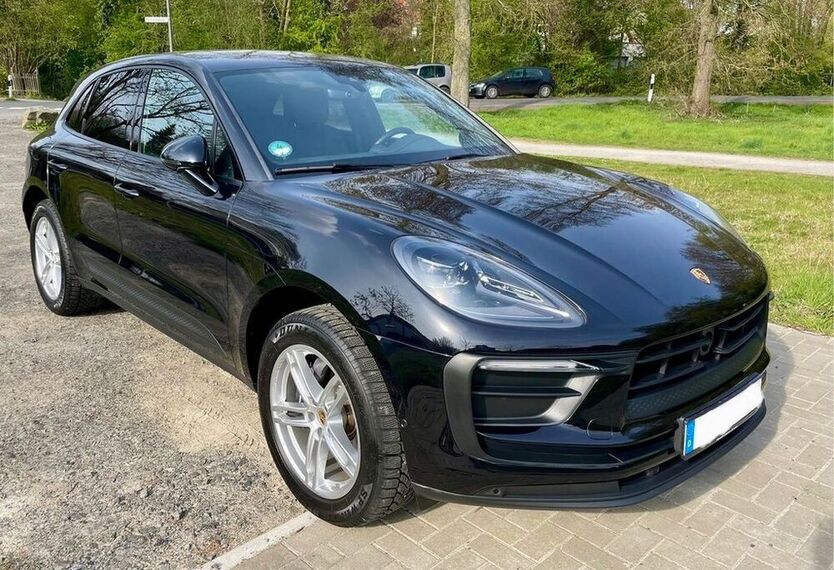 Macan