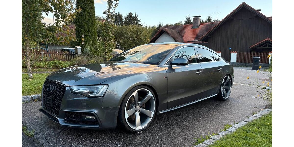 Audi A5 142.400 km 20.000 &euro; Regen 94209