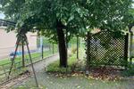 Reihenhaus Lauchhammer - 3 Zimmer, 63 m&sup2;, 69.927&euro; | Angebot:26819400