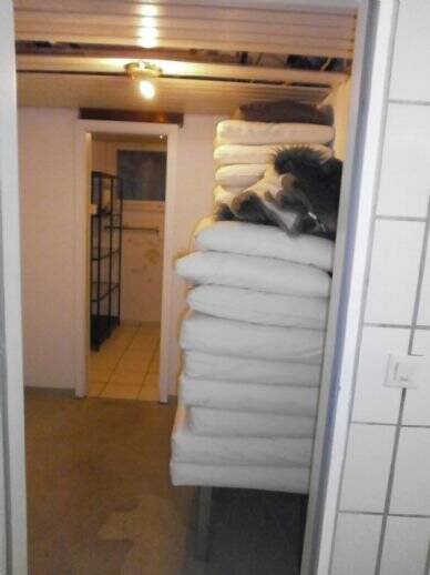 Mehrfamilienhaus, Wohnhaus Heilbronn - 5 Zimmer, 98 m&sup2;, 695.000&euro; | Angebot:25778766