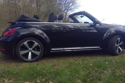 VW Beetle