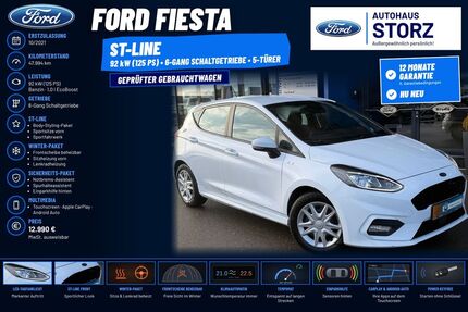 Ford Fiesta 47.994 km 14.290 &euro; Villingen-Schwenningen 78052