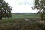 Grundstück Eisenhüttenstadt - 650.000&euro; | Angebot:25799335