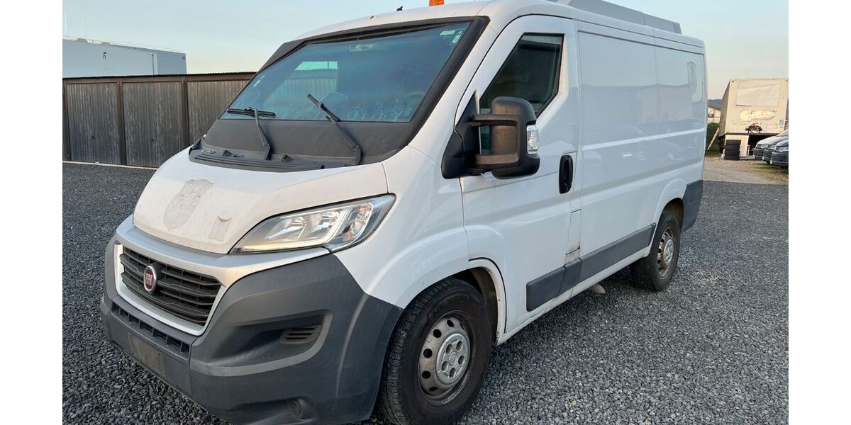 Fiat Ducato 250.000 km 17.500 &euro; Grosswallstadt 63868