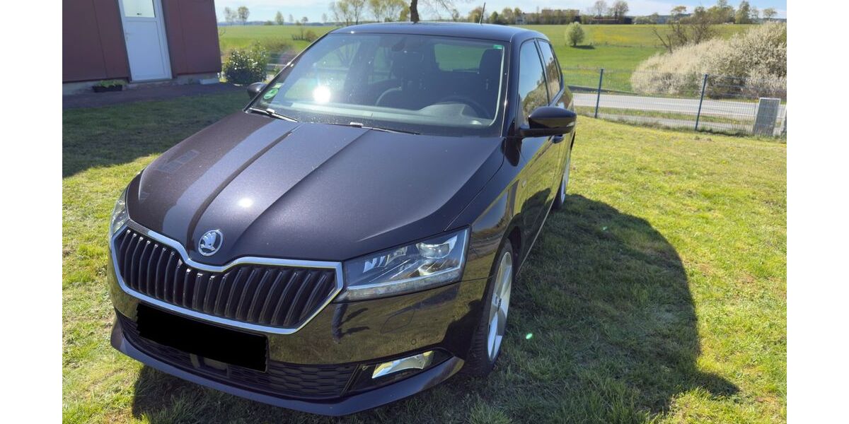 Skoda Fabia 80.800 km 13.299 &euro; Medebach 59964