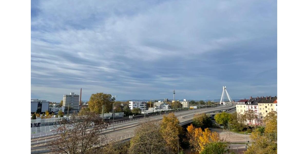 Wohnung in Ludwigshafen mit direkt 5% Bruttomiete 1 zimmer