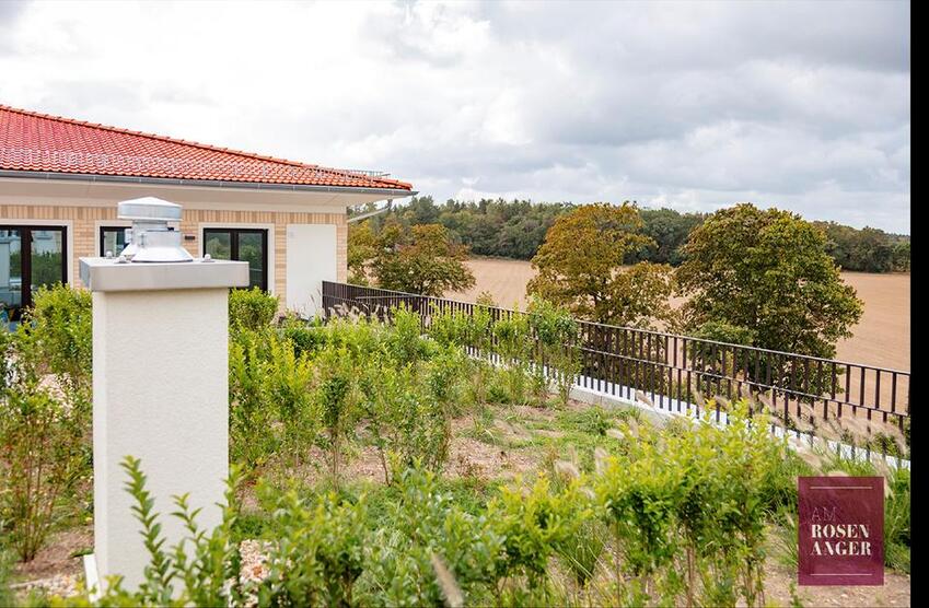 Hier fühlt man sich wohl! Lichtdurchflutete 3-Zimmer Wohnung in Wildau zimmer