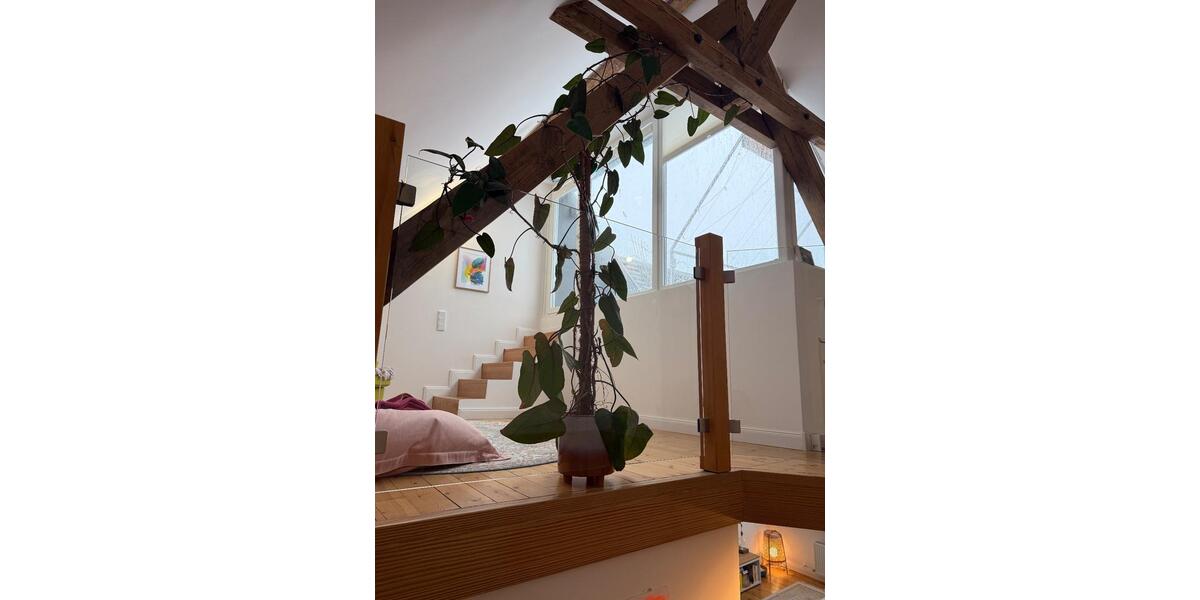 Maisonettenwohnung Kiel Wik - 5 Zimmer, 152 m&sup2;, 1.800&euro; | Angebot:24779352