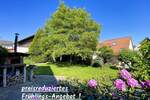 Mehrfamilienhaus, Wohnhaus Oedheim / Degmarn Degmarn - 1 Zimmer, 264 m&sup2;, 519.000&euro; | Angebot:25697222