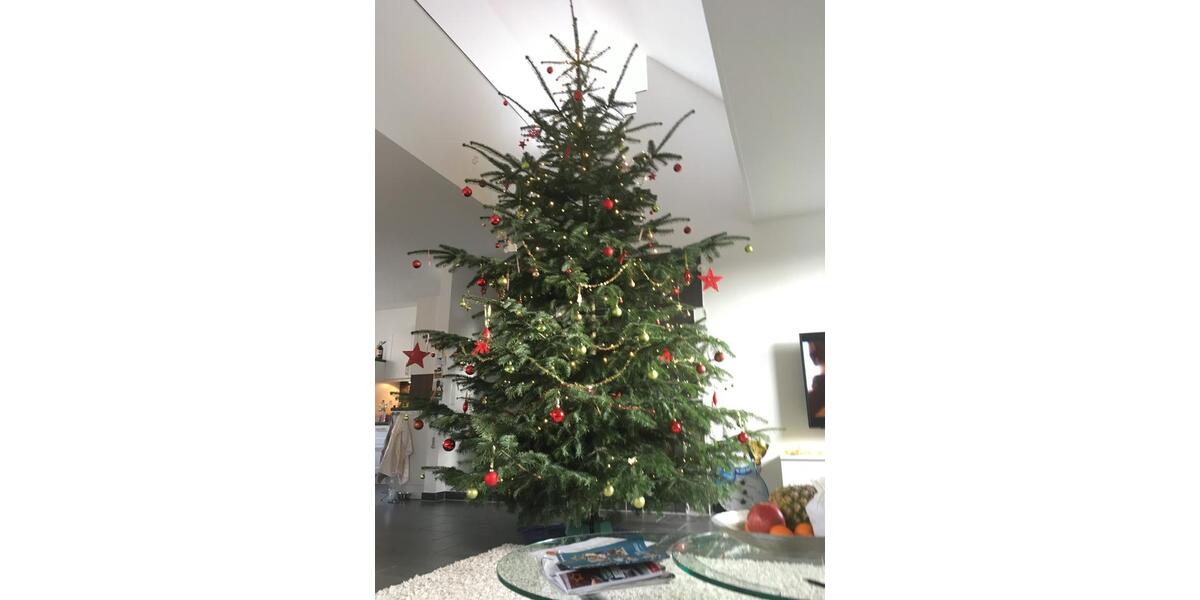 Einfamilienhaus Reken - 4 Zimmer, 144 m&sup2;, 395.000&euro; | Angebot:23815994