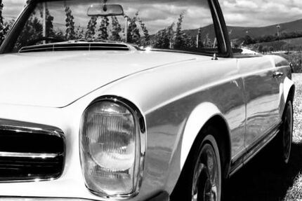 Mercedes-Benz 230 106.000 km 99.600 &euro; Maikammer 67487