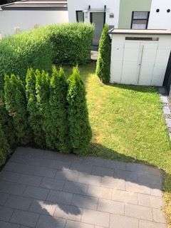 Haus zum Mieten in Essen 1.440 € 115.52 m² 3 zimmer