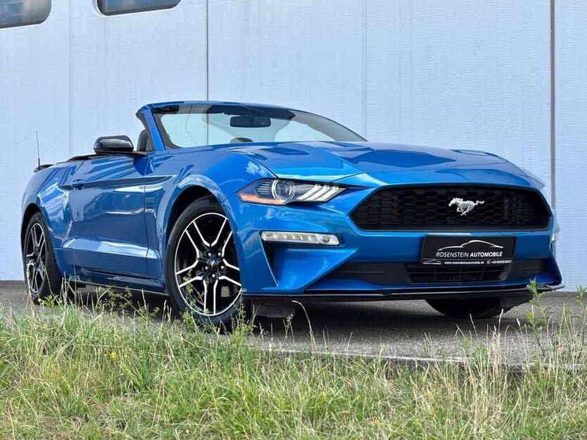 Mustang