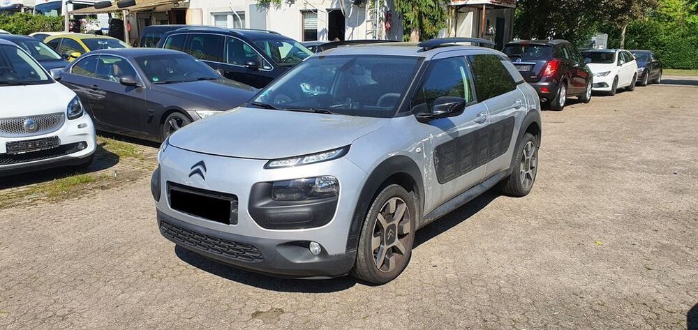 C4 Cactus