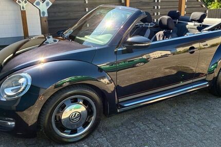 VW Beetle