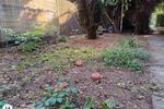 Bungalow Belgern-Schildau Schildau - 1 Zimmer, 40 m&sup2;, 86.000&euro; | Angebot:26480108