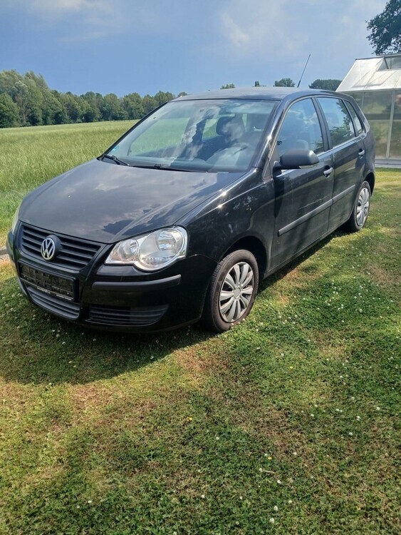 Polo
