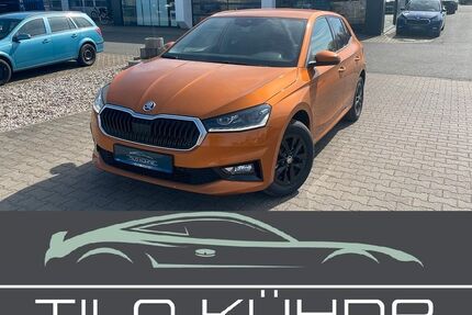 Skoda Fabia 4.953 km 18.990 &euro; Bad Düben 04849