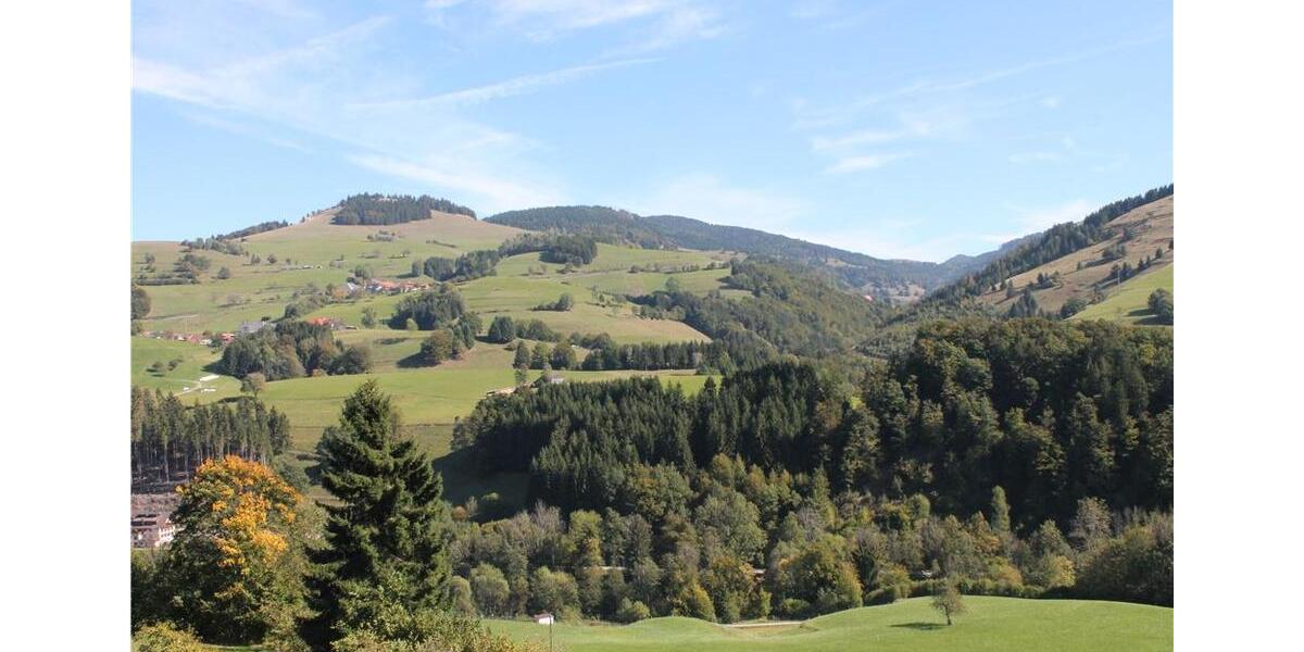 Mehrfamilienhaus, Wohnhaus Schönau im Schwarzwald - 13 Zimmer, 380 m&sup2;, 695.000&euro; | Angebot:27050158