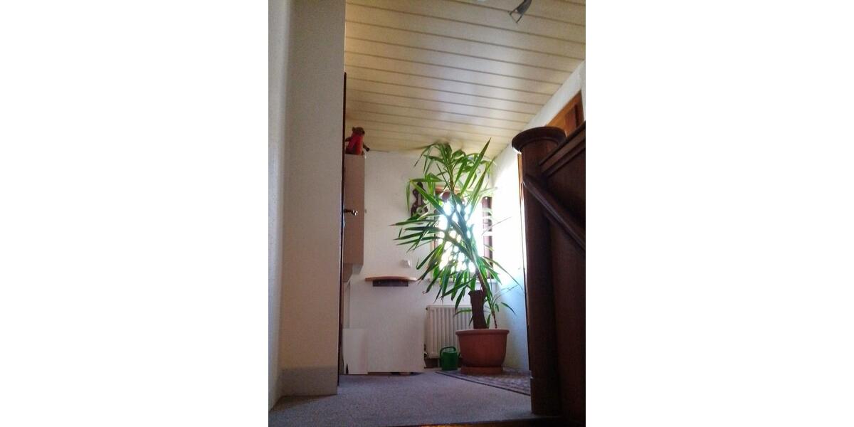 Einfamilienhaus Mülsen - 100.000&euro; | Angebot:26847385